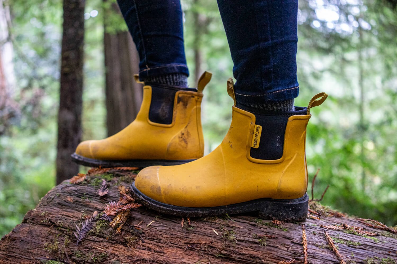 2023 Merry People Gumboots Review Best Sneaker Guide